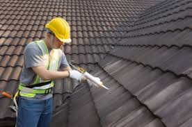 Best Roof Coating and Sealing  in Sissonville, WV